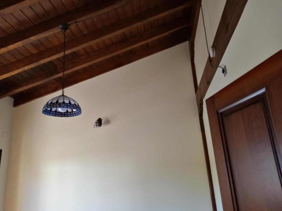 Apartamentos La Regata Viveda Esterno foto